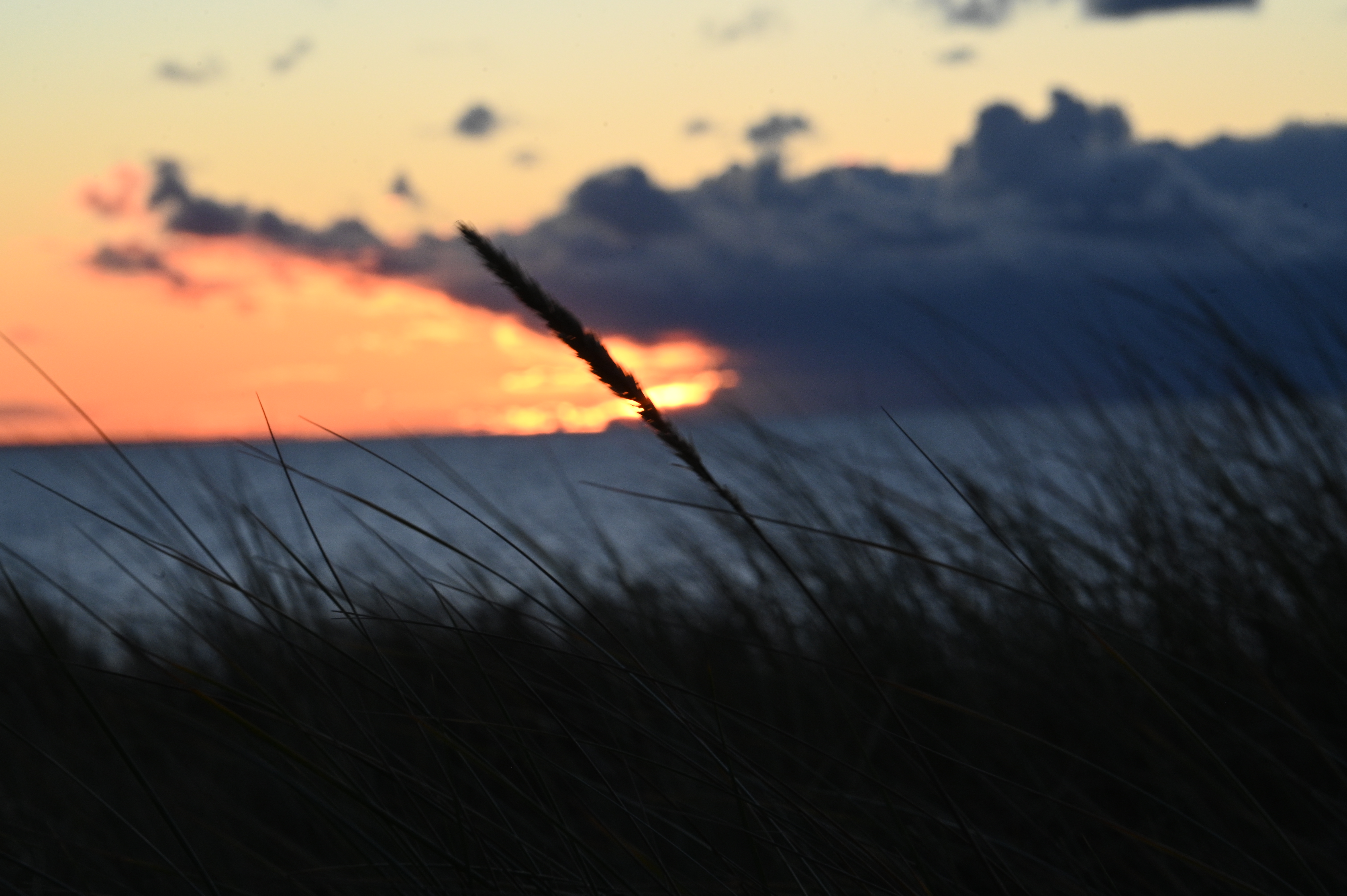 2025/10/18 - walk/DSC_0498.JPG